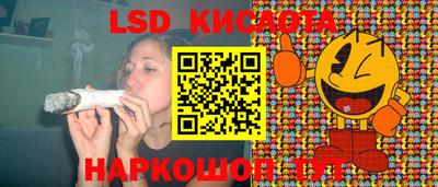 крисы Кулебаки
