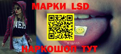 крисы Кулебаки