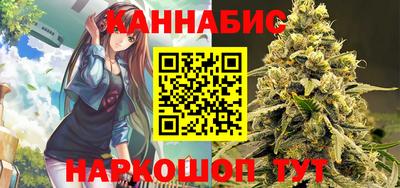 крисы Кулебаки