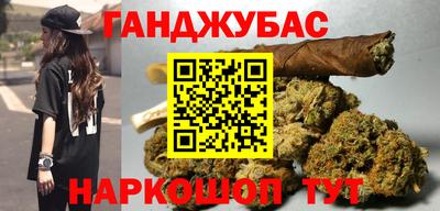 крисы Кулебаки